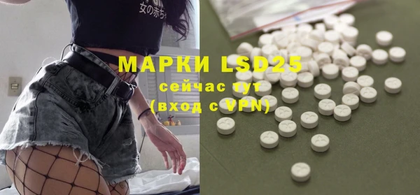 стафф Великий Новгород