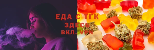 крисы Бородино